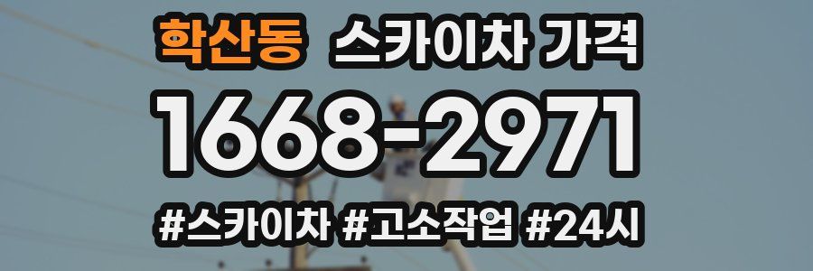 학산동 스카이차 가격