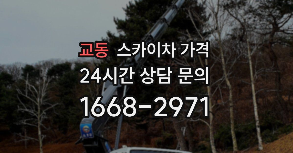 교동 스카이차 가격