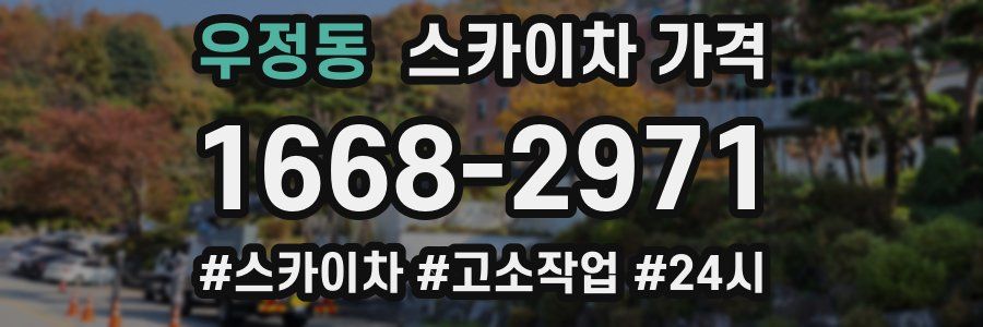 우정동 스카이차 가격