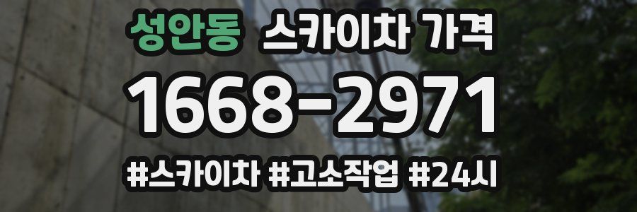 성안동 스카이차 가격