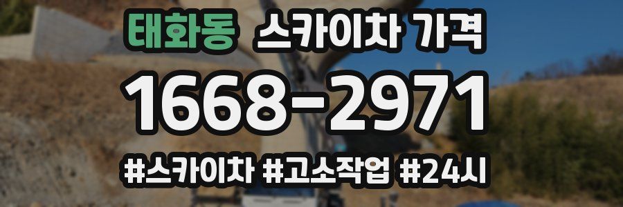 태화동 스카이차 가격