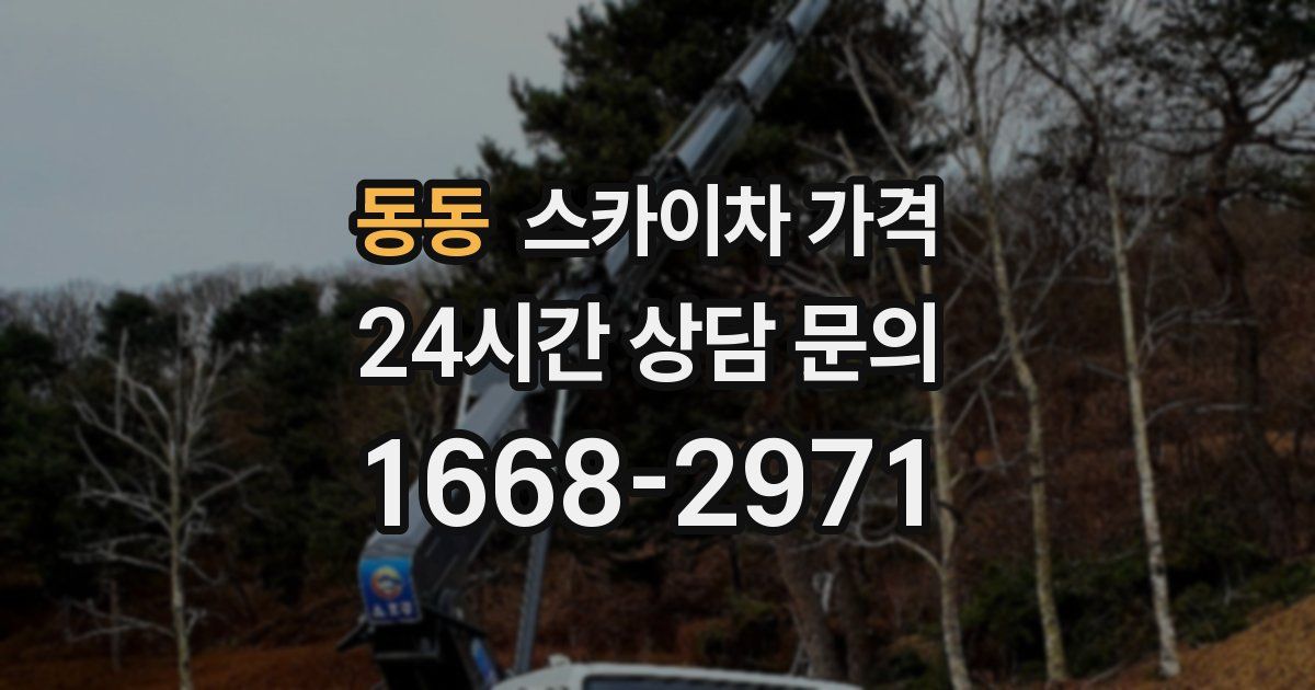 동동 스카이차 가격