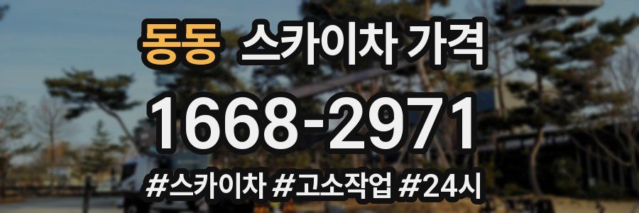 동동 스카이차 가격