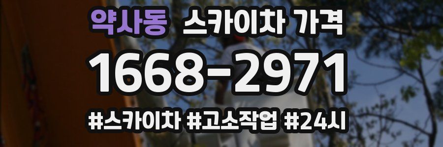 약사동 스카이차 가격