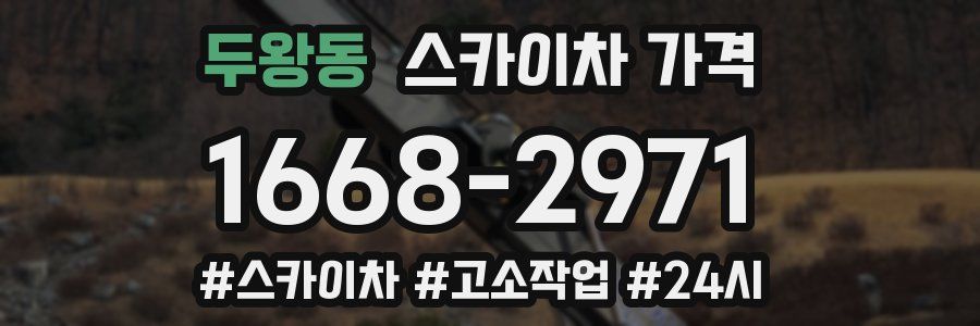 두왕동 스카이차 가격