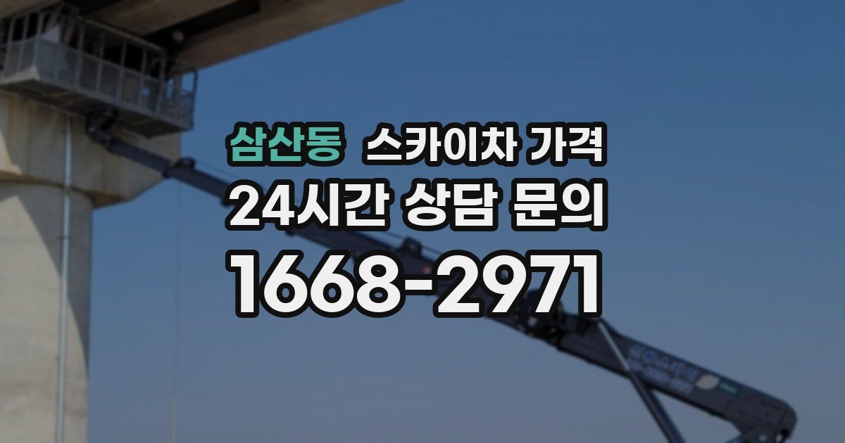 삼산동 스카이차 가격