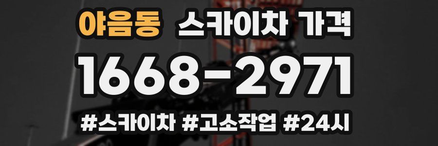 야음동 스카이차 가격