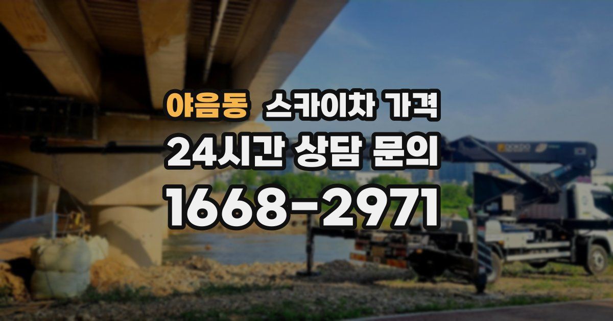 야음동 스카이차 가격