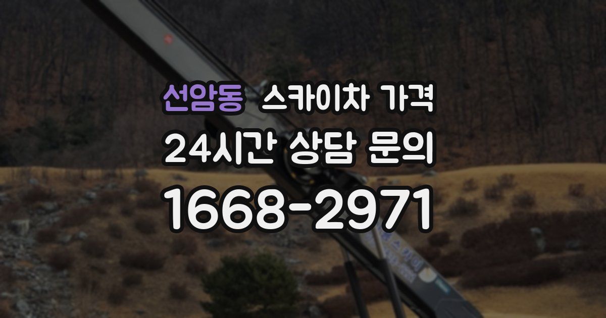 선암동 스카이차 가격