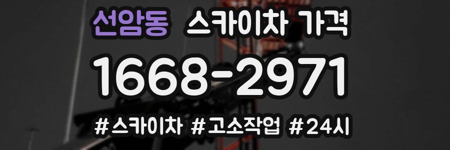 선암동 스카이차 가격