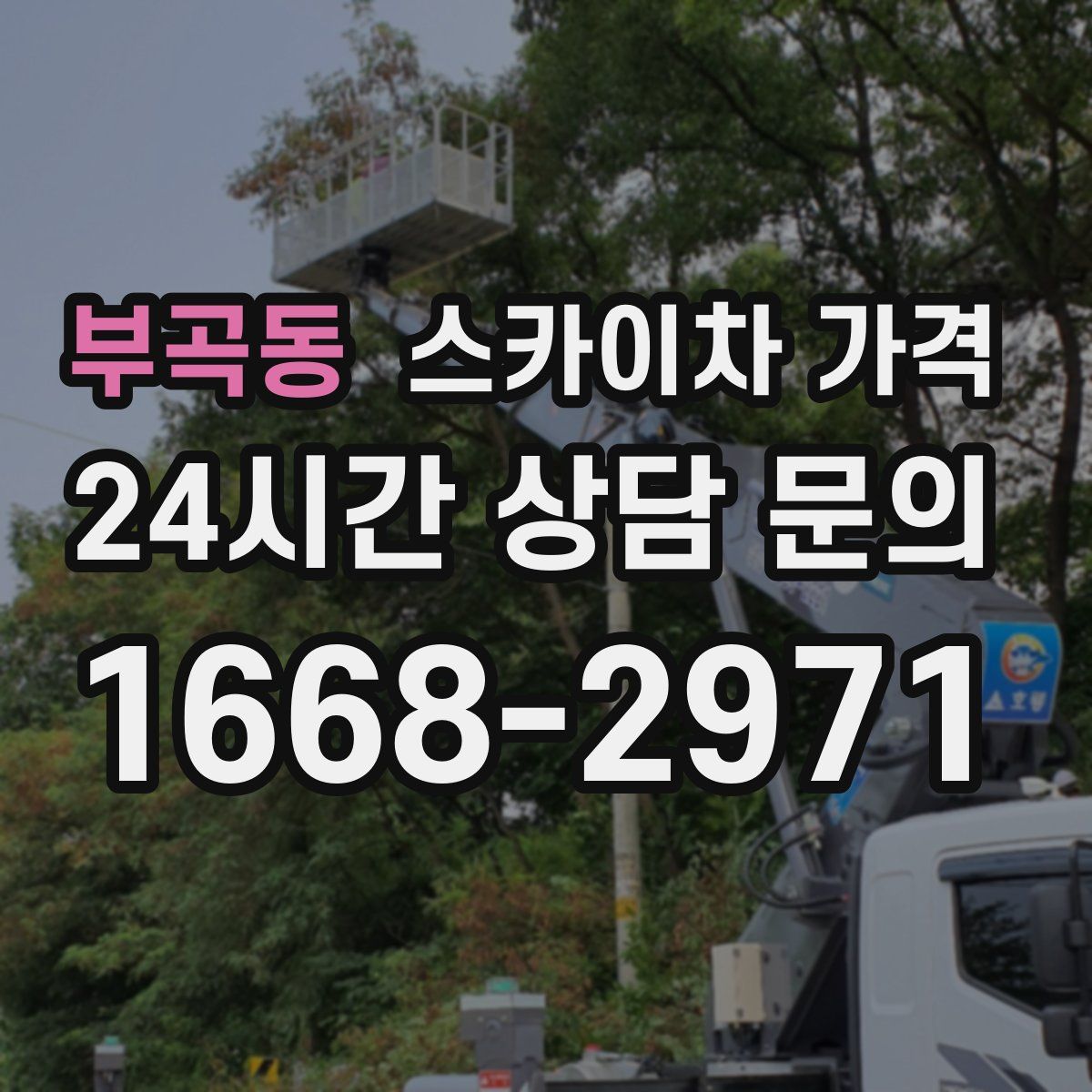 부곡동 스카이차 가격