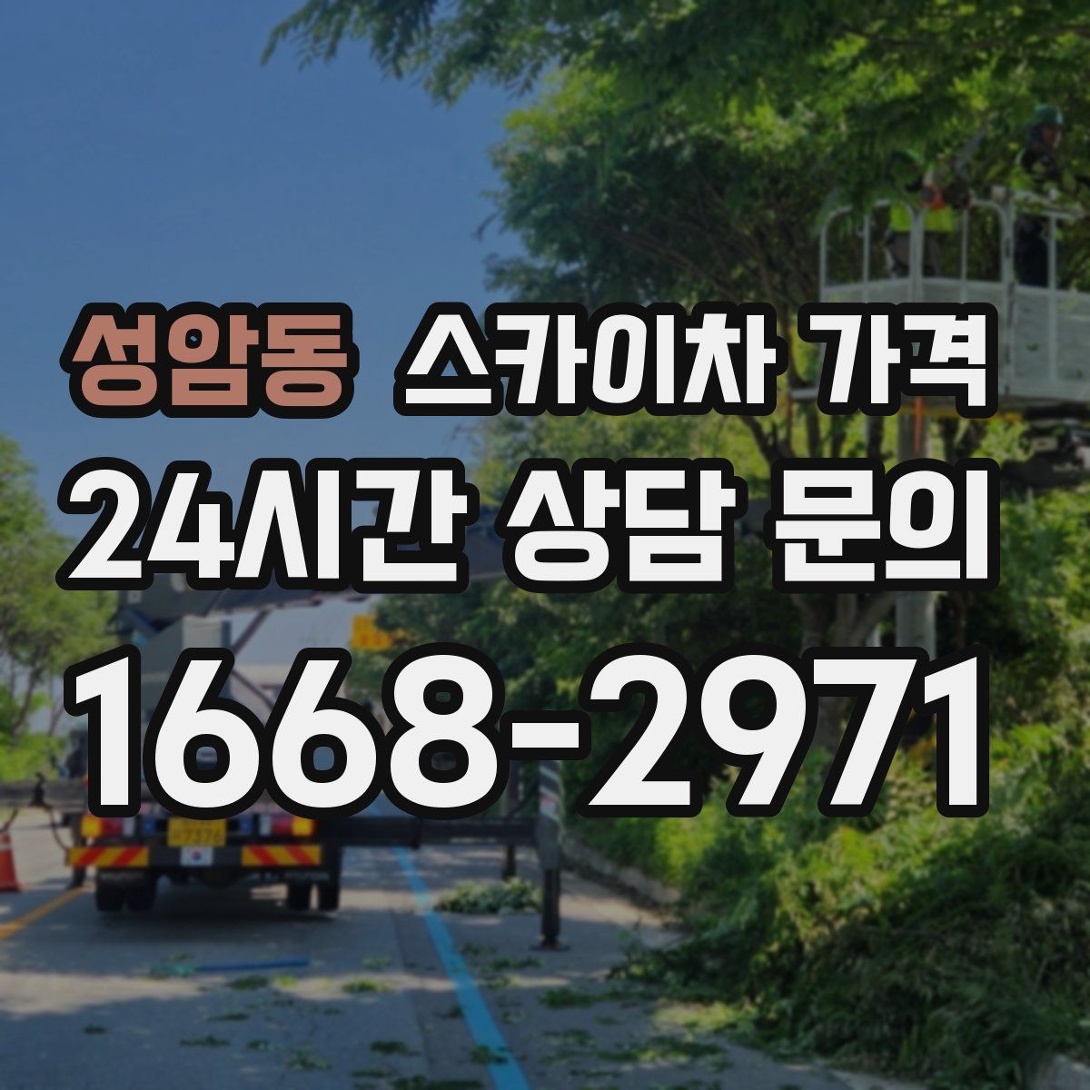 성암동 스카이차 가격