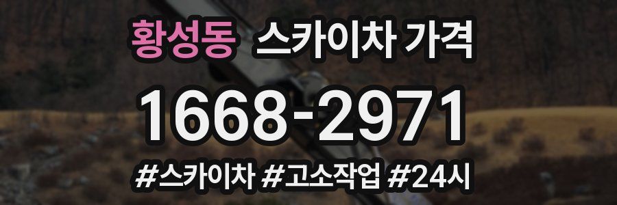 황성동 스카이차 가격