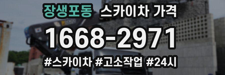 장생포동 스카이차 가격
