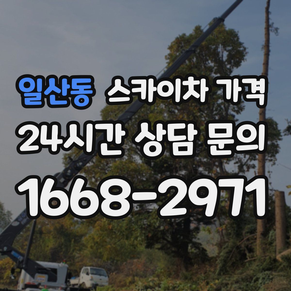 일산동 스카이차 가격