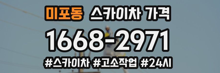 미포동 스카이차 가격