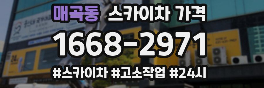 매곡동 스카이차 가격