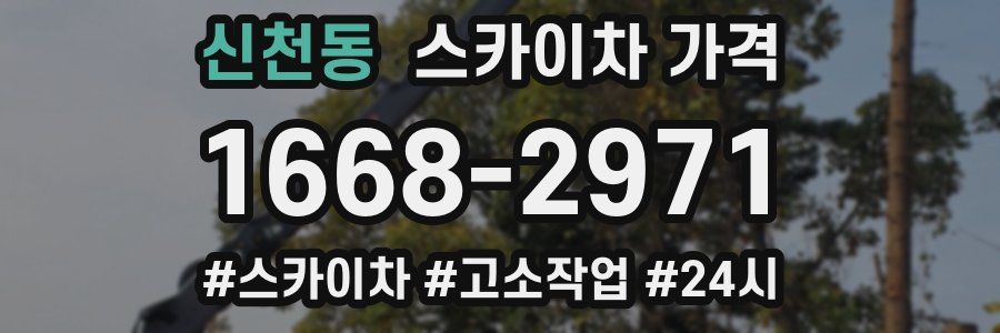 신천동 스카이차 가격