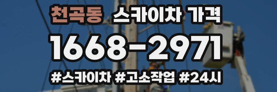 천곡동 스카이차 가격