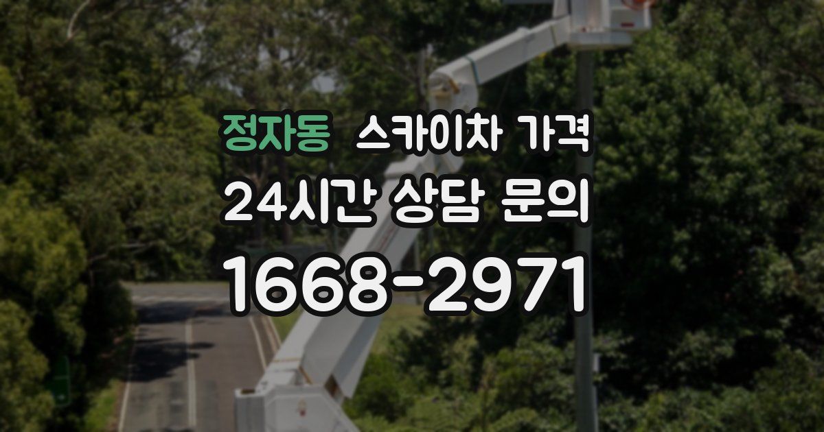 정자동 스카이차 가격