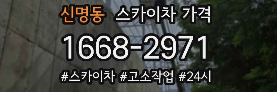 신명동 스카이차 가격