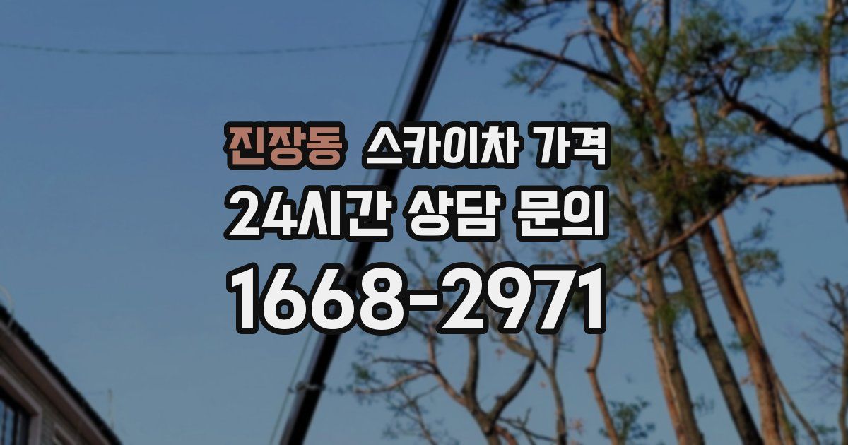 진장동 스카이차 가격