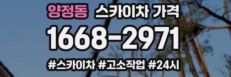 양정동 스카이차 가격