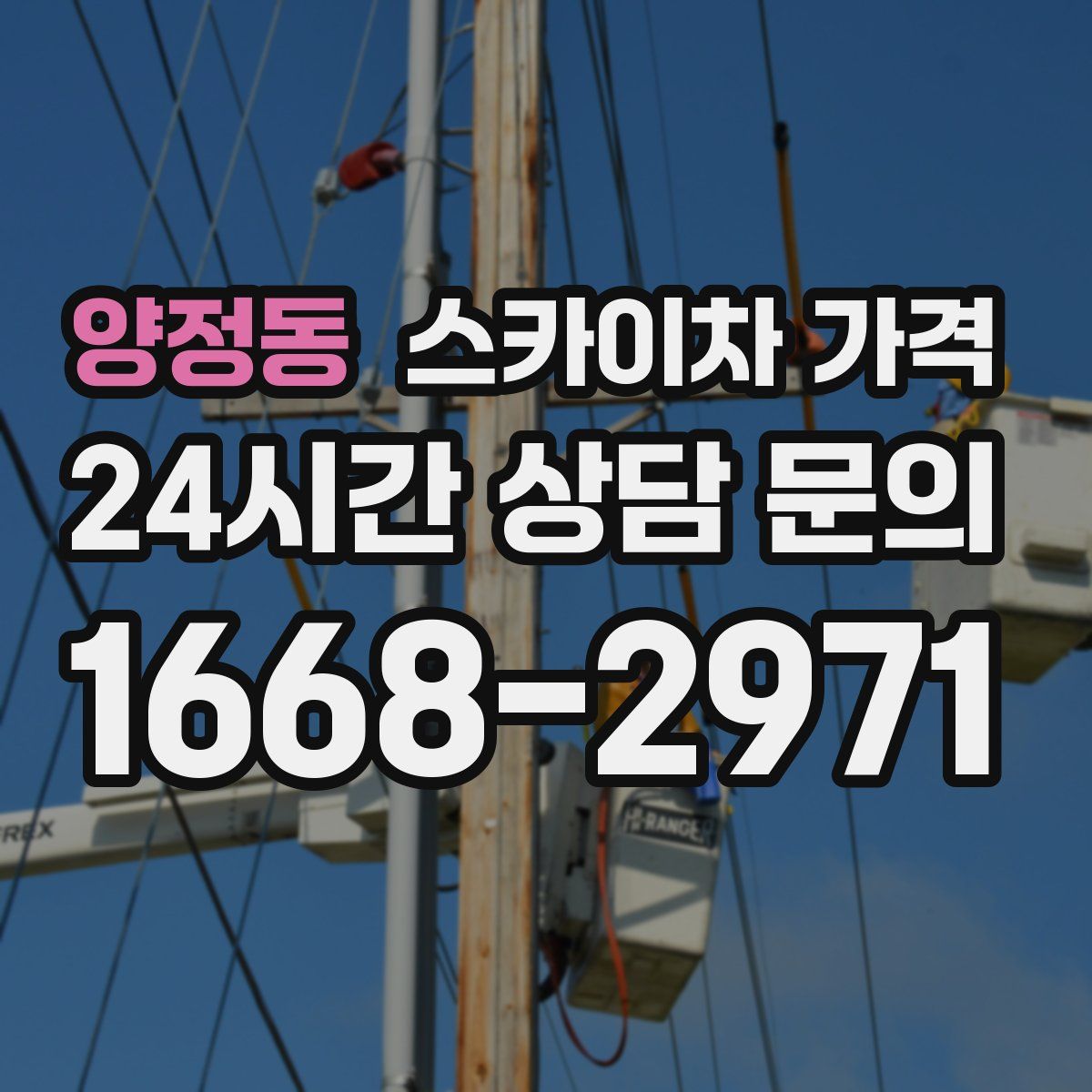 양정동 스카이차 가격