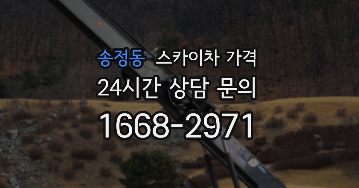 송정동 스카이차 가격