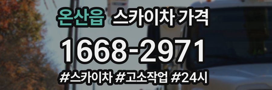 온산읍 스카이차 가격