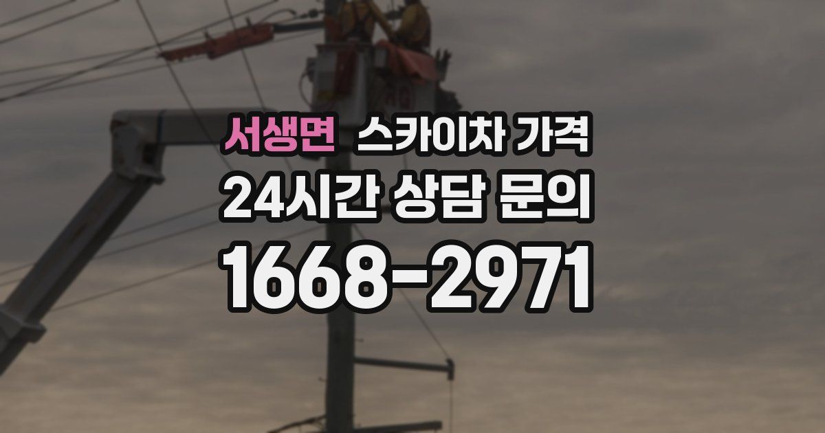 서생면 스카이차 가격