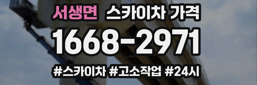 서생면 스카이차 가격