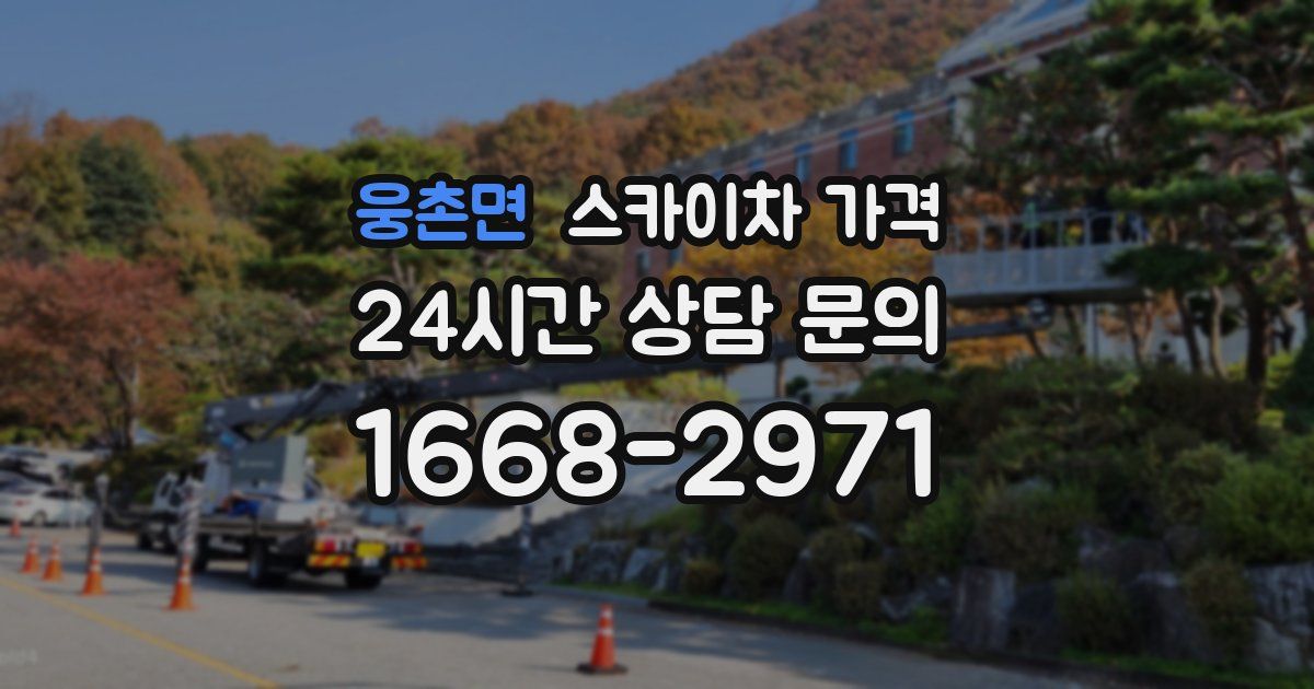 웅촌면 스카이차 가격