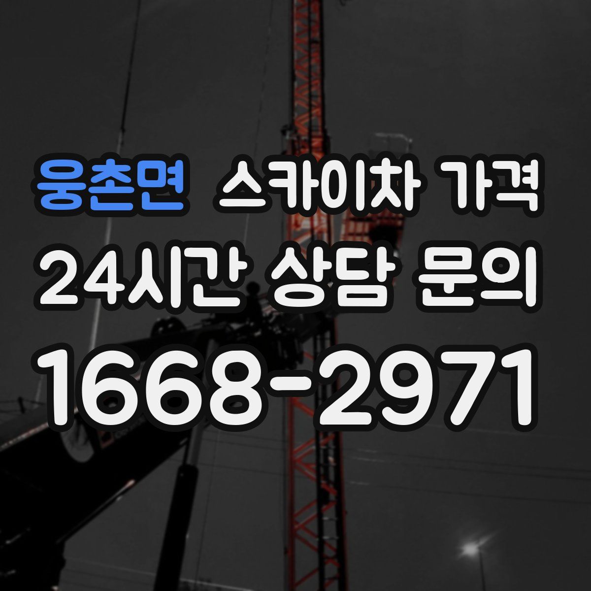 웅촌면 스카이차 가격