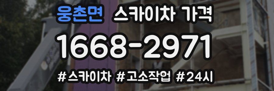 웅촌면 스카이차 가격