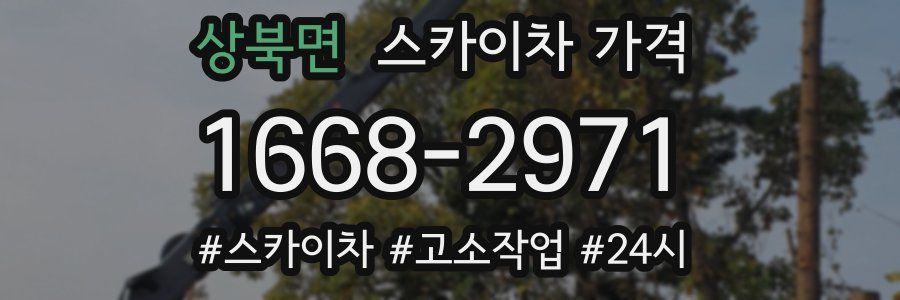 상북면 스카이차 가격