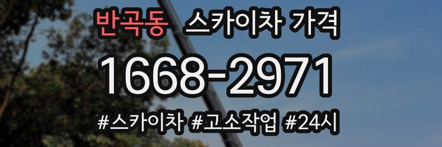 반곡동 스카이차 가격