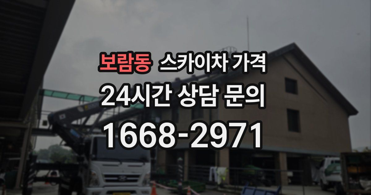 보람동 스카이차 가격