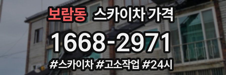 보람동 스카이차 가격