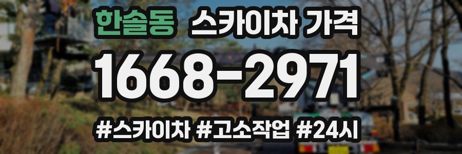 한솔동 스카이차 가격