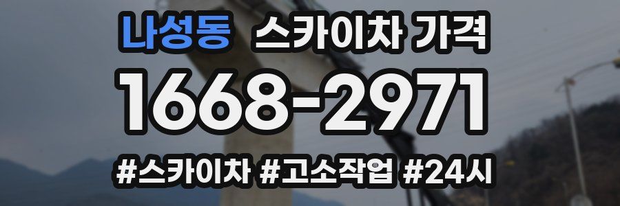 나성동 스카이차 가격
