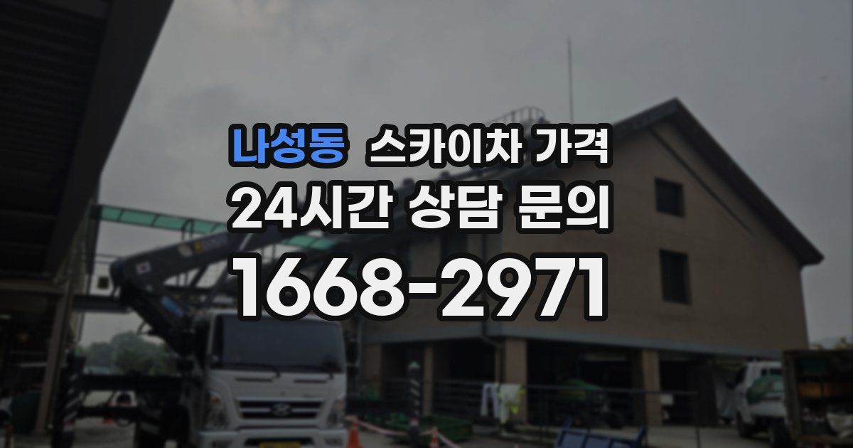 나성동 스카이차 가격