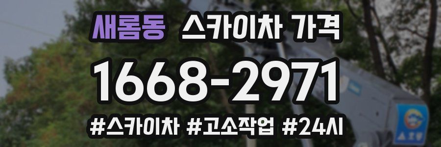 새롬동 스카이차 가격