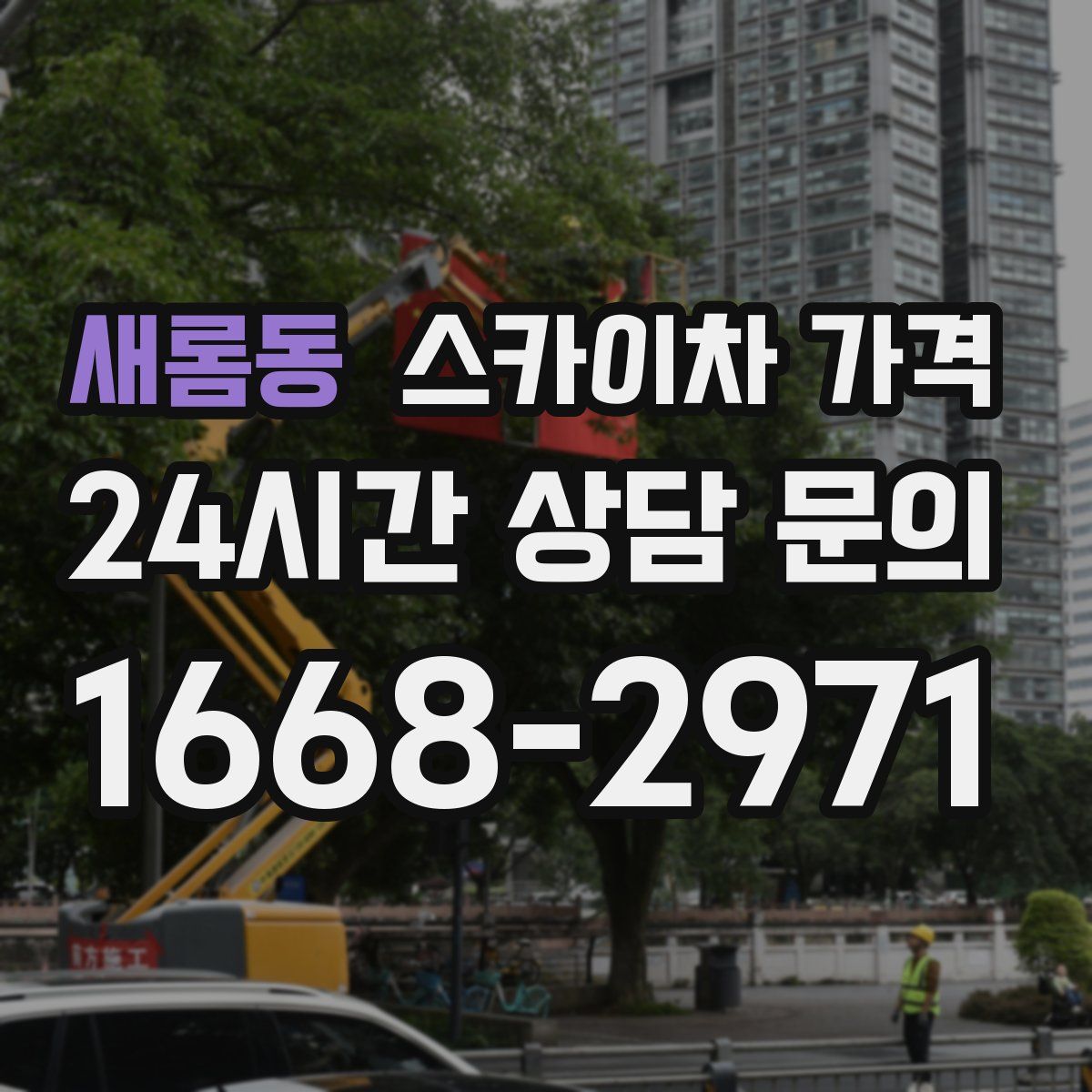 새롬동 스카이차 가격