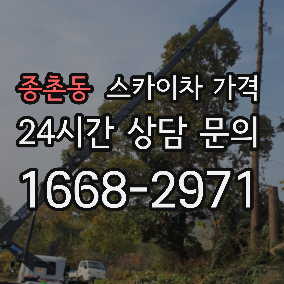 종촌동 스카이차 가격