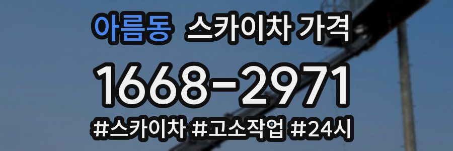 아름동 스카이차 가격