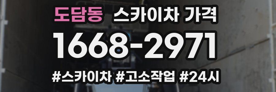 도담동 스카이차 가격