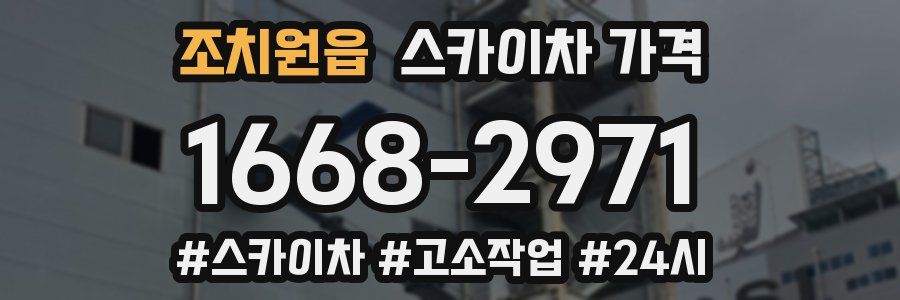 조치원읍 스카이차 가격