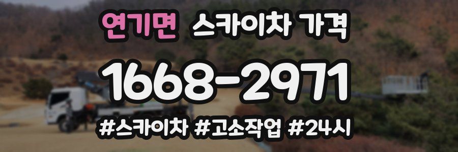 연기면 스카이차 가격