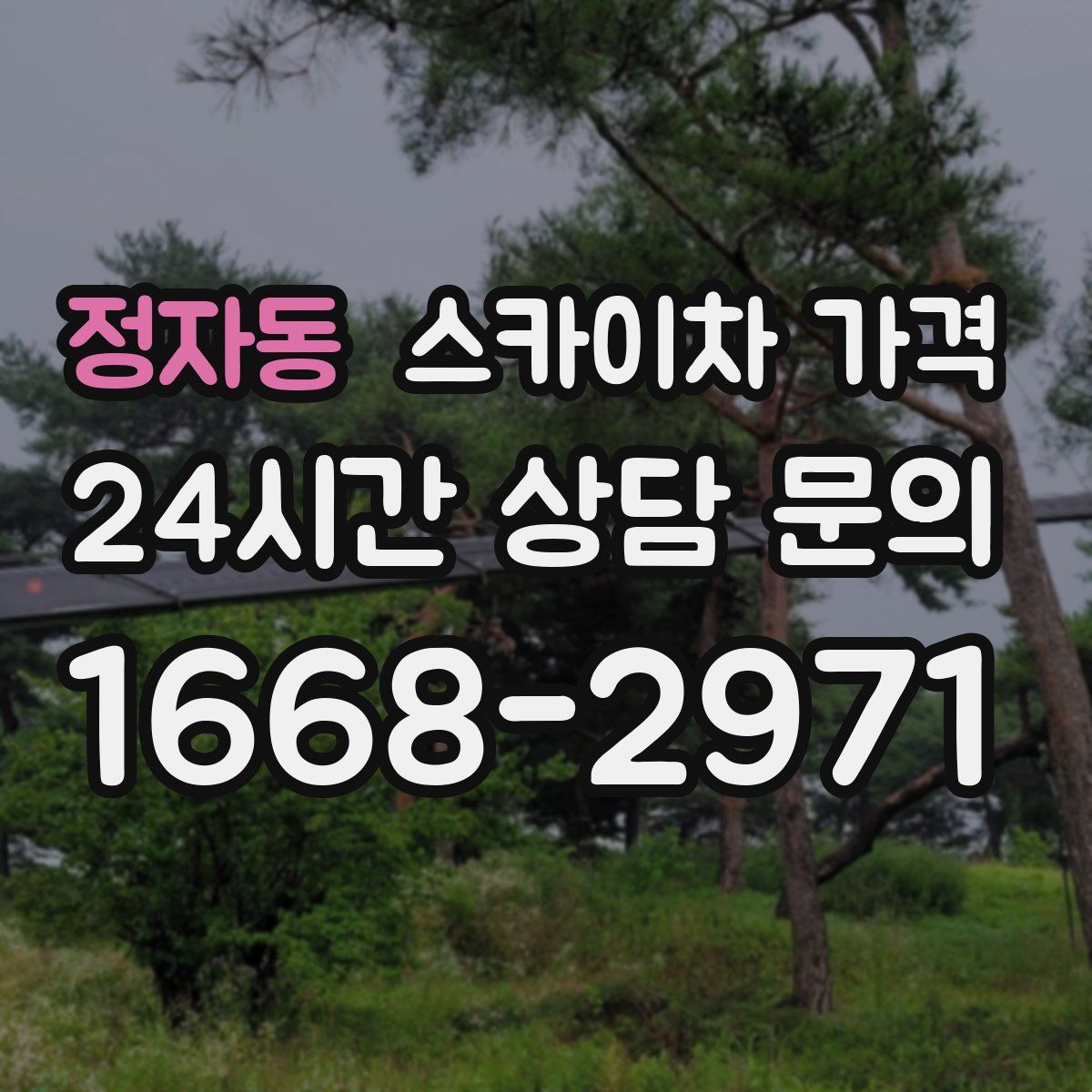 정자동 스카이차 가격